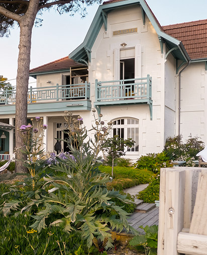 Cap Ferret